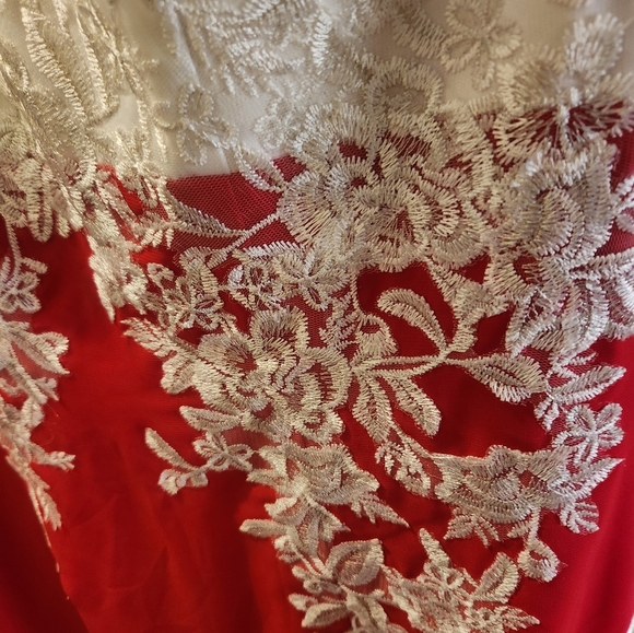 NWT JJ'S House Stunning Red and White Lace Dress - Picture 3 of 7
